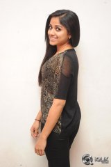 Rehana at Chakkiligintha Movie Audio Success Meet